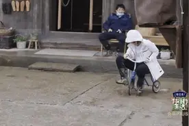 童心十足！张子枫骑迷你自行车 网友：还没有长大图片