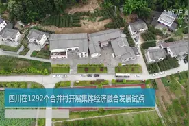 四川在1292个合并村开展集体经济融合发展试点视频封面