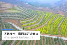 河北滦州：满园花开迎客来