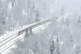惊艳！半山彩林半山雪，就在四川图片