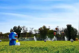 “五一”到京郊赏油菜花，近郊最大油菜花海就在南六环图片