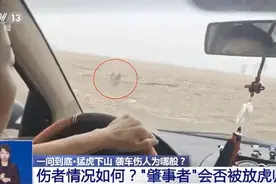 东北虎进村伤人事件最新进展如何？遇到“拦路虎”该咋办？图片