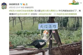 保持安全距离！张艺兴见到“彩灯”依旧“敬而远之”图片