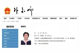 “首席翻译”张璐履新！翻译《离骚》名句意外“走红”，半路出家如何成为“国翻”？图片