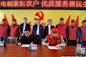 岳西高山绿茶有了“电保姆”图片