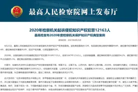 起诉12163人！最高检发布2020年度检察机关保护知识产权典型案例图片