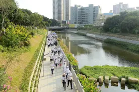 东莞清溪｜跟着河长走碧道徒步活动启动图片