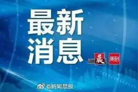 上海5月6日起内环内地面道路“外牌”早晚高峰限行图片