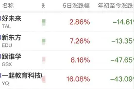 突发！学而思、新东方等被顶格处罚，涉多项违规……校外培训机构普遍亏损，股价大跌图片