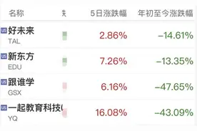 突发！学而思、新东方等被顶格处罚，涉多项违规……校外培训机构普遍亏损，股价大跌图片