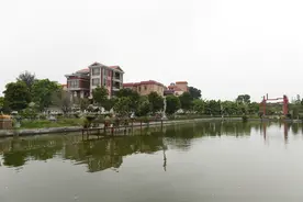 沿着高速看中国（广东）｜佛山紫南村：路网的发展让村民走向富裕图片