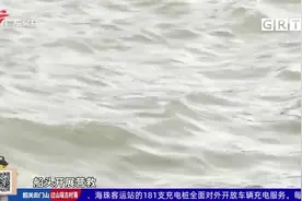广州：男子落入珠江 水巴船员合力施救视频封面