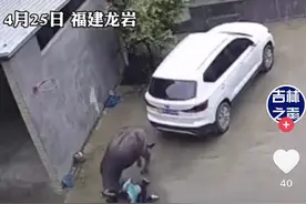 惊险！男孩被疯牛挑飞撞进车底，连连道歉躲过一劫：对不起牛大哥别打我图片