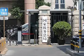 透过税收大数据视角解码一季度经济形势：多领域均有可喜变化图片