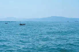 春来鲅鱼鲜图片