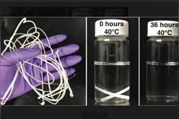 真正“可生物降解”塑料面世图片