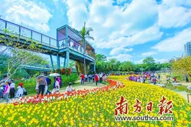 深圳的“快”与“慢”图片