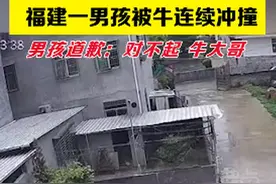 福建一男孩被疯牛袭击撞飞！躲进车底求饶：“对不起，牛大哥”图片