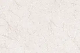 「百个瞬间说百年」1949，中国人民从此站起来了图片