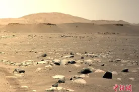 “机智”号直升机在火星进行第三次起飞图片