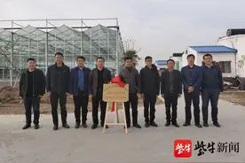 淮阴黄瓜香，科技帮扶强——南京邮电大学边缘智能研究院助力淮阴黄瓜节图片