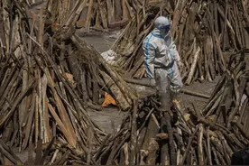 海评面：印度疫情失控，“求援”美国无果图片