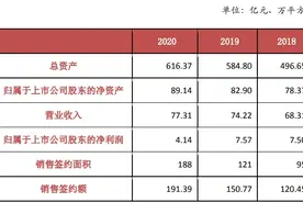 财报声浪丨踩中“三条红线”“货值缩水”华远地产的现在时与将来时图片