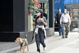 @上海人 今天起，遛狗不牵绳，违法图片