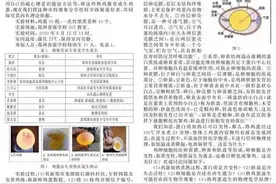 熟鸡蛋返生孵小鸡？一校长论文疯传！网友：复活恐龙吧...图片