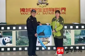 江边捞到一只12斤怪龟，一查发现是鳄龟，警方提醒不要随意放生外来物种图片