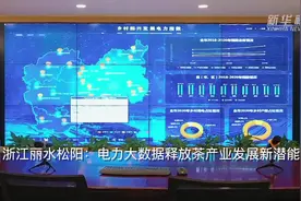 浙江丽水松阳：电力大数据释放茶产业发展新潜能视频封面