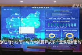 浙江丽水松阳：电力大数据释放茶产业发展新潜能视频封面
