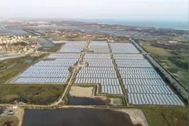 现实版“破冰行动”收官！陆丰最后一名博社籍毒贩落网图片