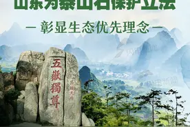 图解 |  捡泰山石最高罚两万！山东为泰山石保护立法彰显生态优先理念图片