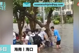 海口小学生触电倒入积水，路人用雨伞拽出抢救！医院：人已清醒图片