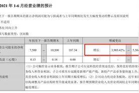 渝股看台｜蓝黛科技扭亏为盈，今年前6月净利最高增长5504.78%图片