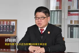 人民说法丨为何赔偿35.2万元？专访“美团与饿了么不正当竞争纠纷一案”主审法官图片