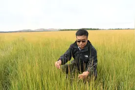草地退化 脆弱“病人”的艰难复健图片