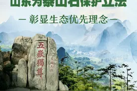 捡泰山石最高罚两万 山东为泰山石保护立法彰显生态优先理念图片