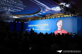 上海真爱梦想公益基金会在沪发布2020年报图片