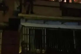 父母就算忘记了全世界也不会忘了你，杭州70岁大伯半夜爬到别人窗外，背后真相泪目图片