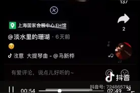 特斯拉车顶维权女车主用伟巴斯特通行证进场？刚刚，官方回复了图片