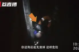 女子与狗深夜双双落水，竟因遛狗时做错了一件事……图片