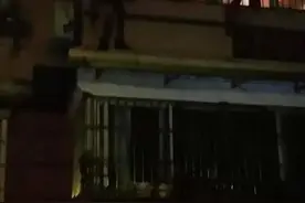 窗外有个男人！杭州女子半夜被吓醒，对方一句话让所有人都哭了……图片