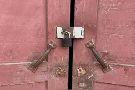 庞麦郎们的交错人生图片