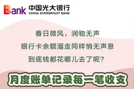实用！月度账单一键查询，收支情况了如指掌图片
