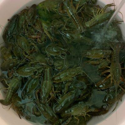 大厨教我的蒜蓉小龙虾的做法，确实比我自己做的讲究