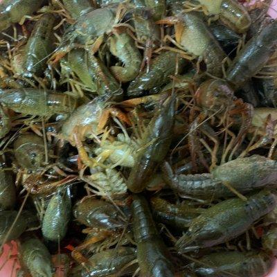 大厨教我的蒜蓉小龙虾的做法，确实比我自己做的讲究