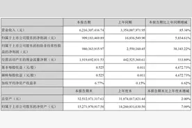 化工产品销售价格大涨，鲁西化工一季度净利同比增超5800%图片