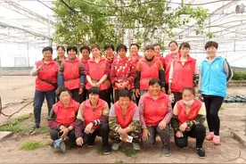惠民4000嫁接“娘子军”走遍全国“移花接木”图片